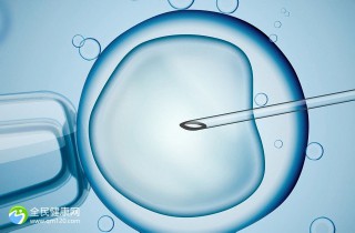 体外受精 IVF-ET